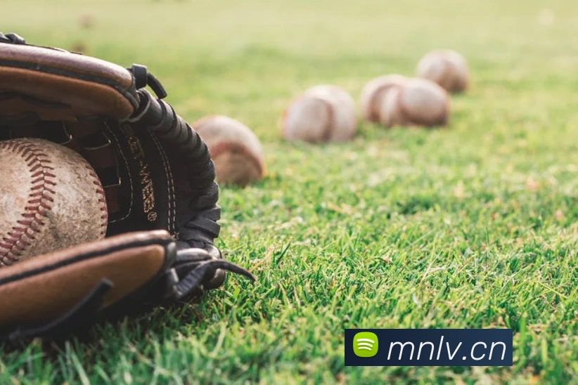 完美体育唯一官网APP 体育赛事宣传图